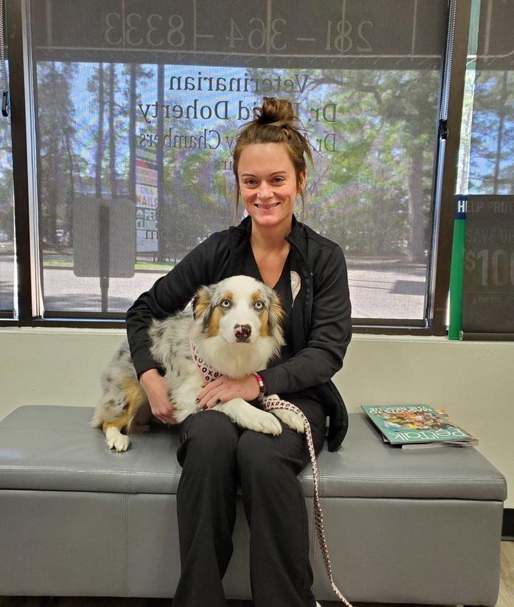 Veterinarians in The Woodlands The Woodlands TX Veterinarians